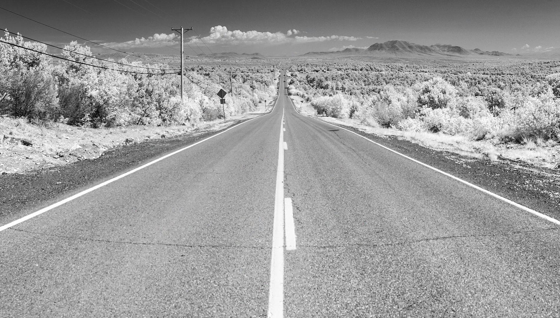 Never Been Never Left (Eye)_THUMB